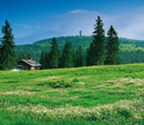 Der Feldberg im Sommer