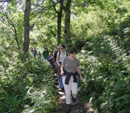 Der Feldberg im Sommer