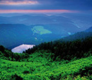 Der Feldberg im Sommer