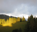 Der Feldberg im Sommer