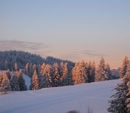 Der Feldberg im Winter