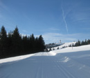 Der Feldberg im Winter